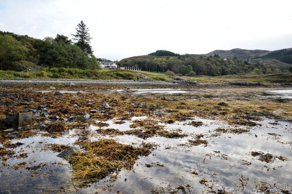 Loch Melfort Hotel (Argyll and Bute)
